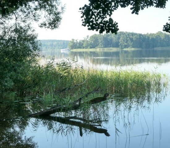 Lychensee; Bild: Lucia 2020 Lychensee; Bild: Lucia 2020